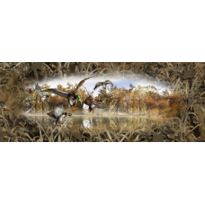 Mallards Tailgate 002